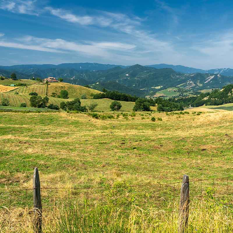 Entroterra romagnolo, storia, cultura, natura e curiosità tutte da scoprire