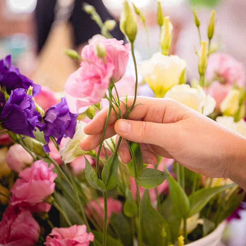 Cattolica in fiore 2020, appuntamento dal 26 al 28 giugno