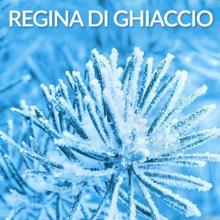 Cattolica la Regina di Ghiaccio per il Natale 2017